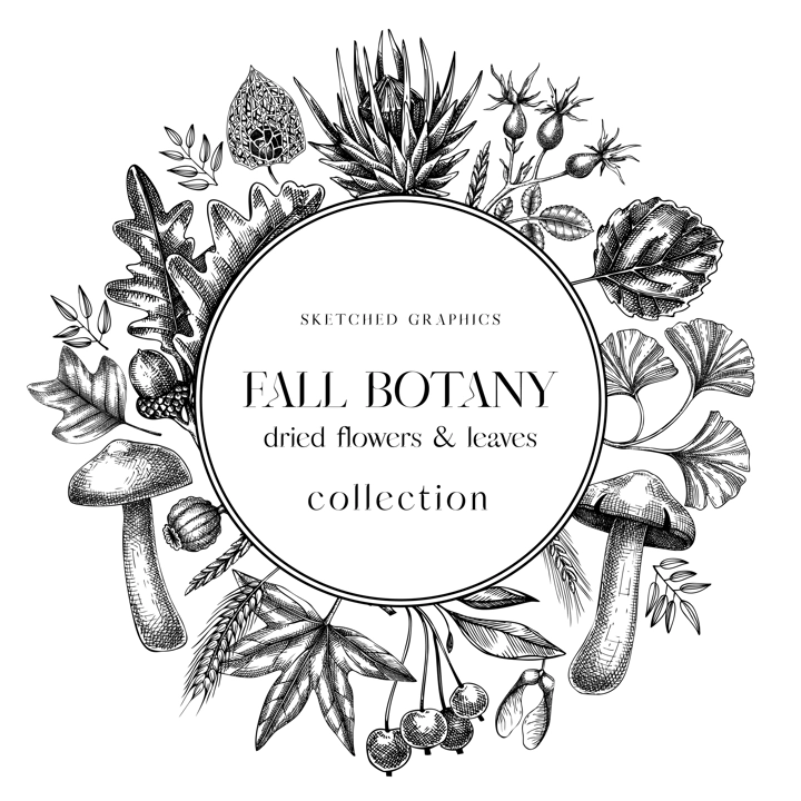 Autumn wreath with fall leaves and dried flowers. Thanksgiving banner design. Fall card or invitation.. Sketched dried herbs, falling leaves, mushrooms, seeds frame. Black and white illustration. 